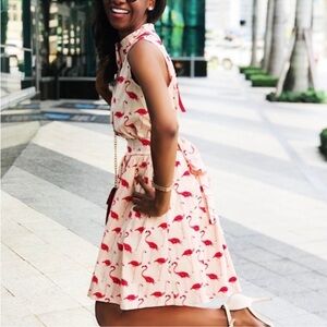 Chicwish Flamingo Print Mini Dress in Pink